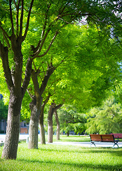 bb电子游戏官网(中国)官方网站