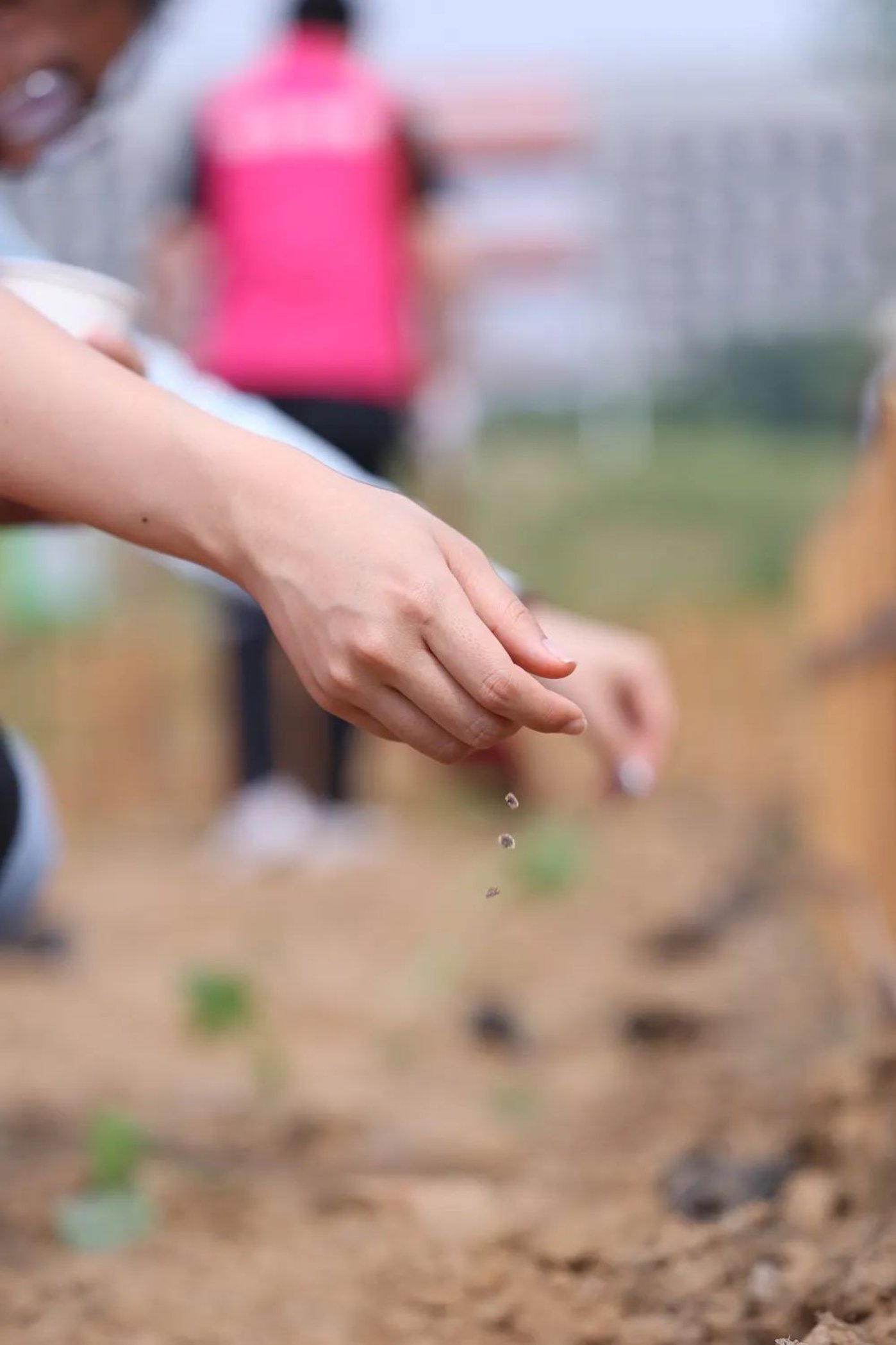 bb电子游戏官网(中国)官方网站