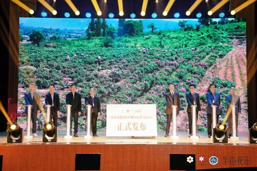 bb电子游戏官网(中国)官方网站