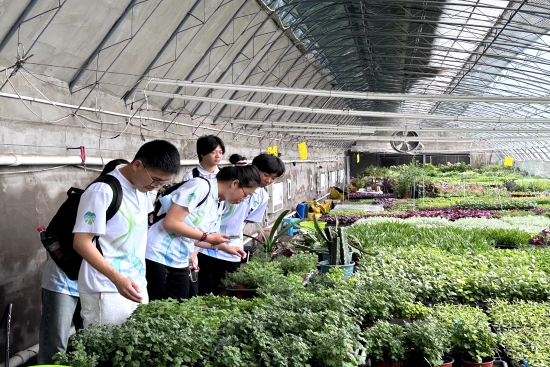 bb电子游戏官网(中国)官方网站