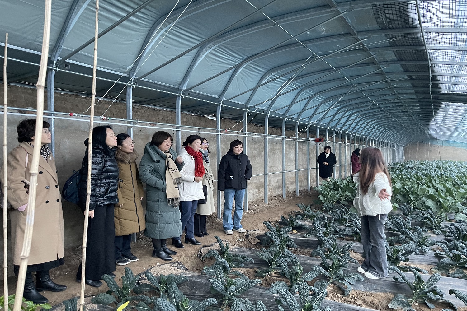 bb电子游戏官网(中国)官方网站