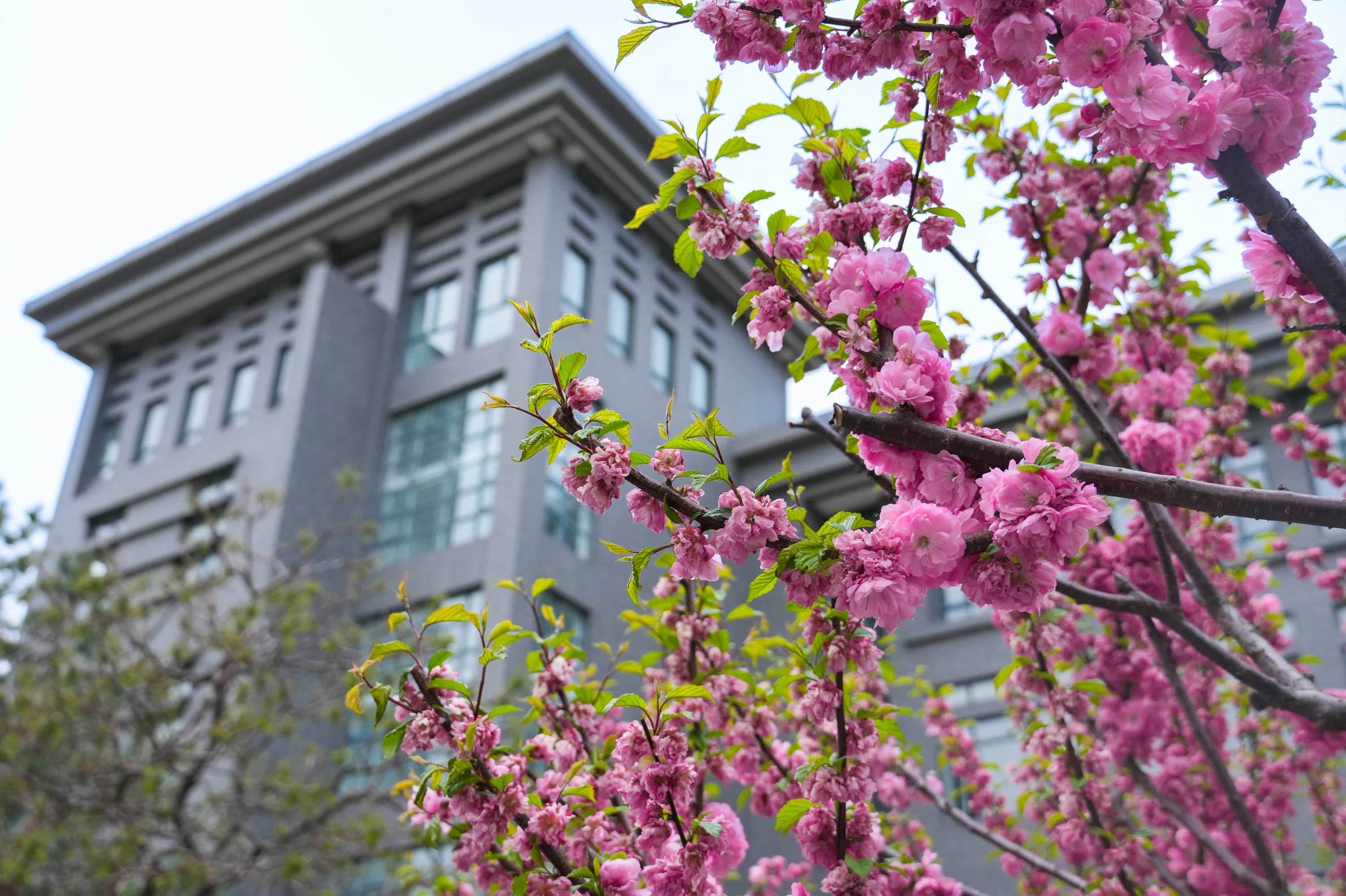 bb电子游戏官网(中国)官方网站