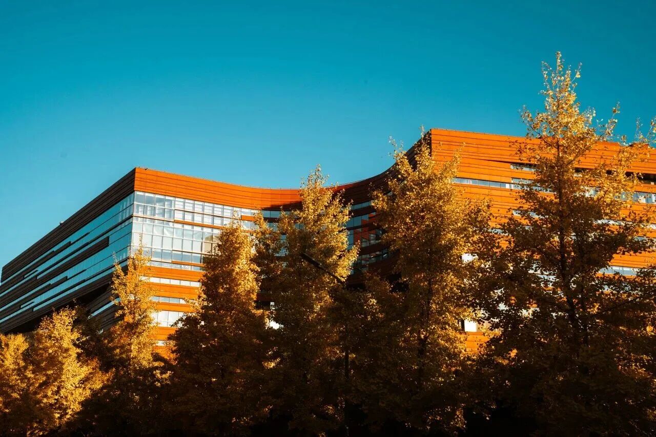 bb电子游戏官网(中国)官方网站