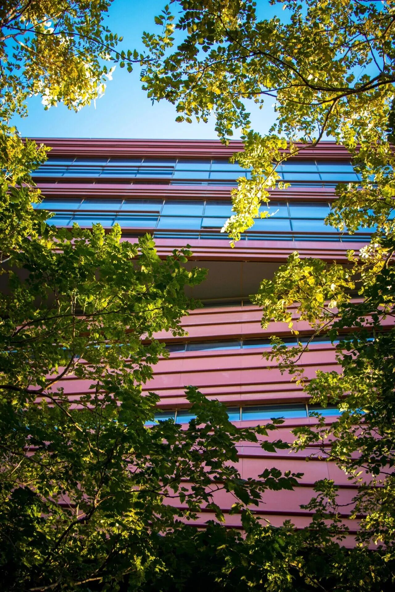 bb电子游戏官网(中国)官方网站