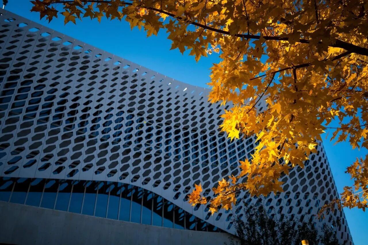 bb电子游戏官网(中国)官方网站