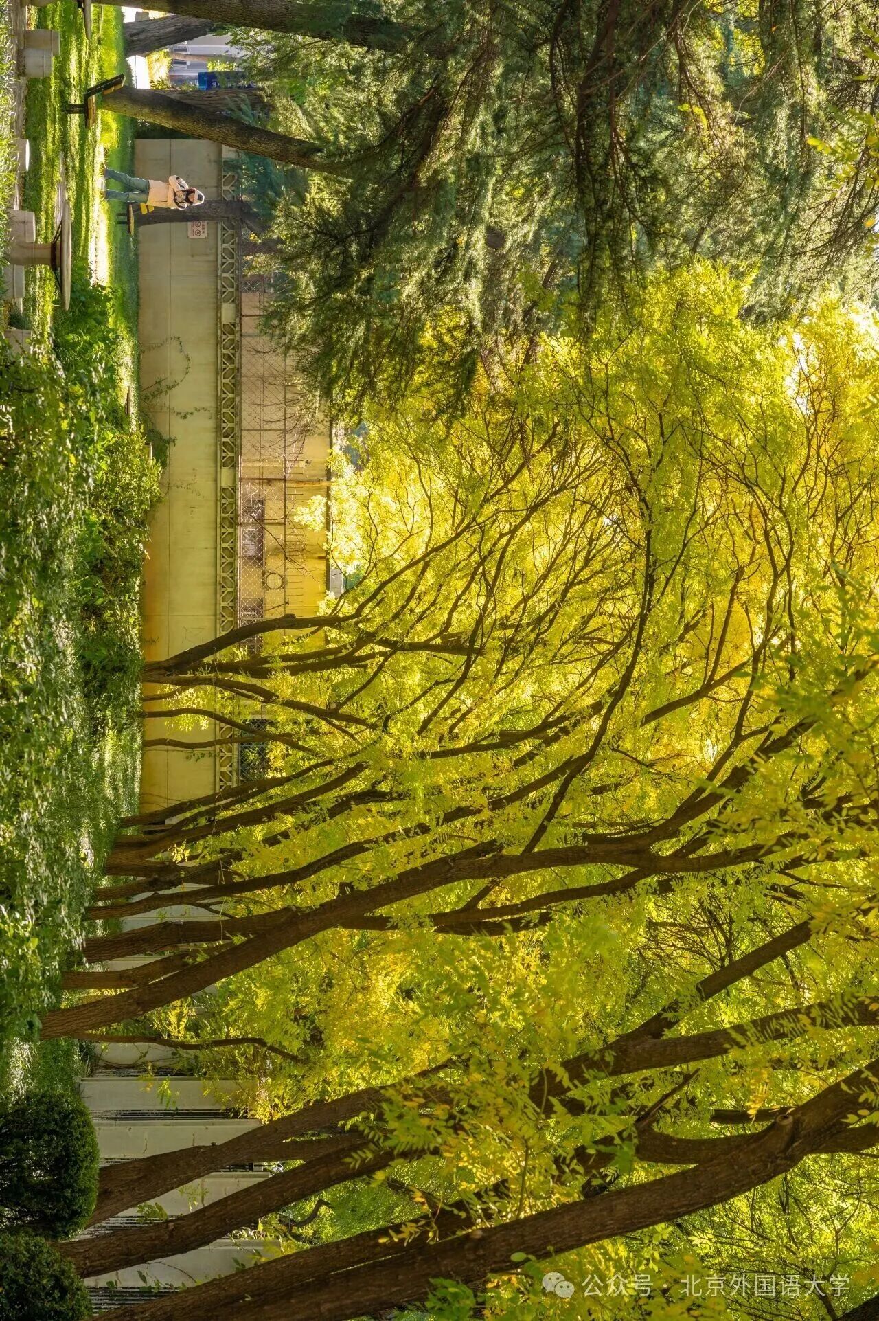 bb电子游戏官网(中国)官方网站