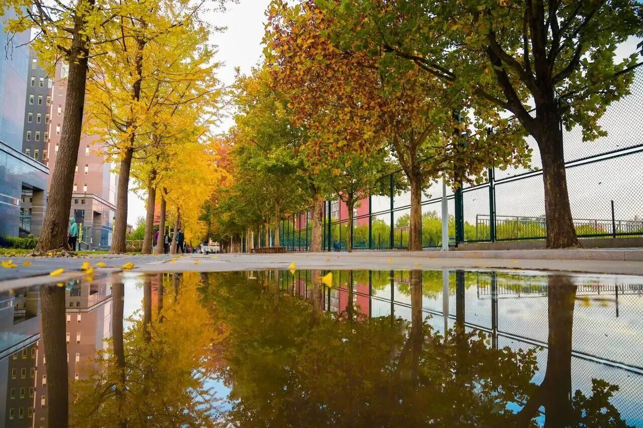 bb电子游戏官网(中国)官方网站