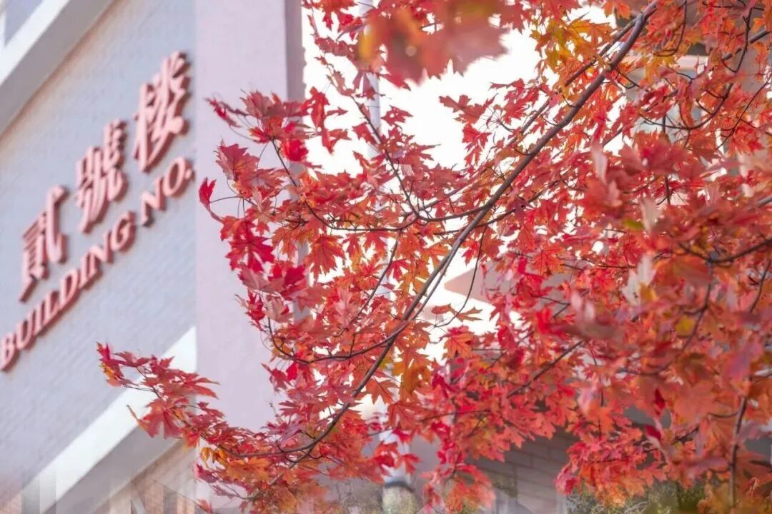 bb电子游戏官网(中国)官方网站