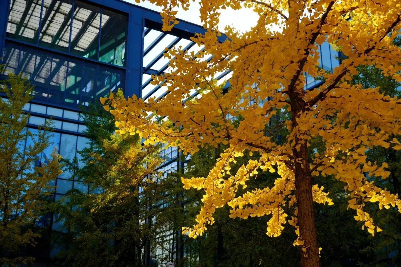 bb电子游戏官网(中国)官方网站