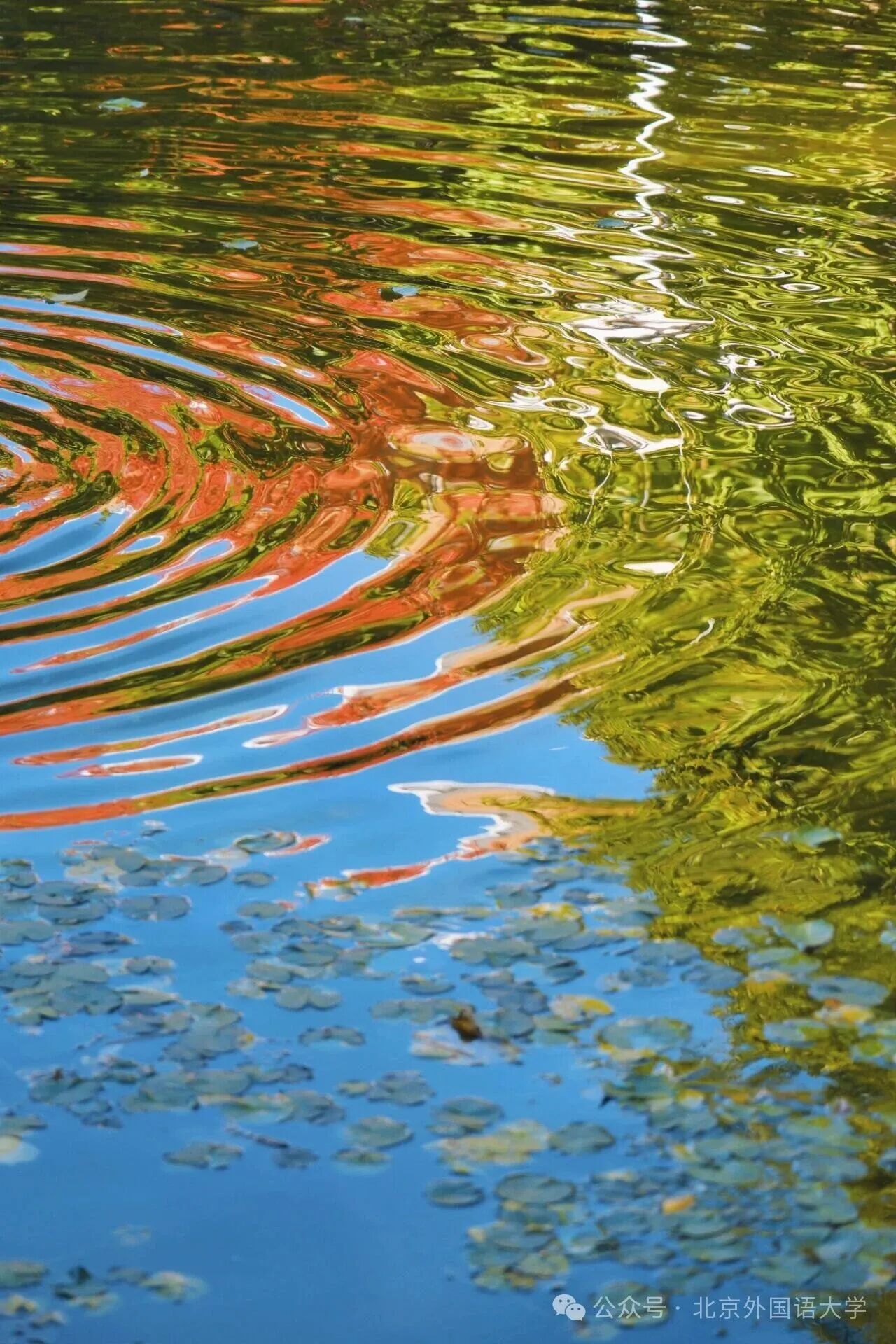 bb电子游戏官网(中国)官方网站