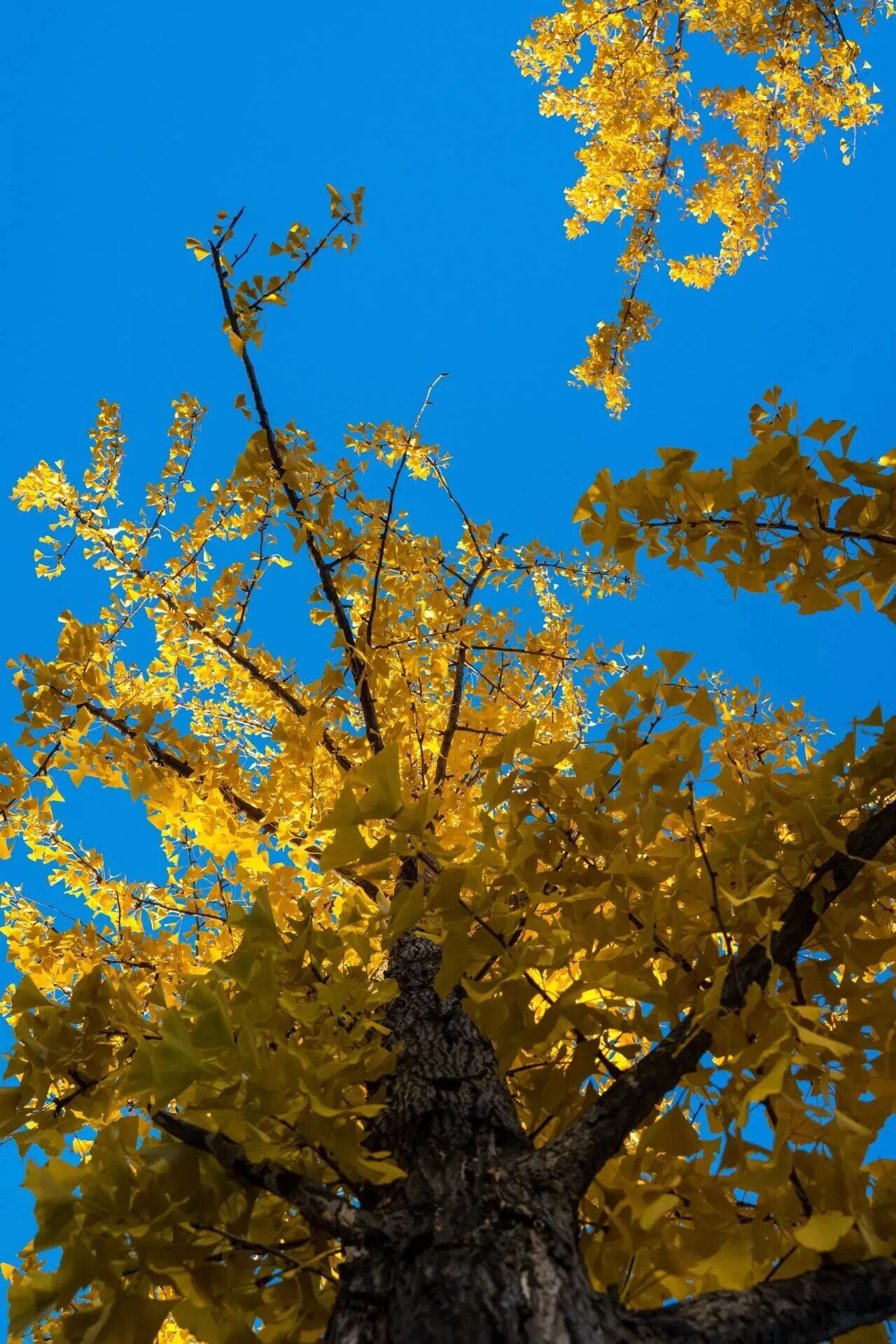 bb电子游戏官网(中国)官方网站