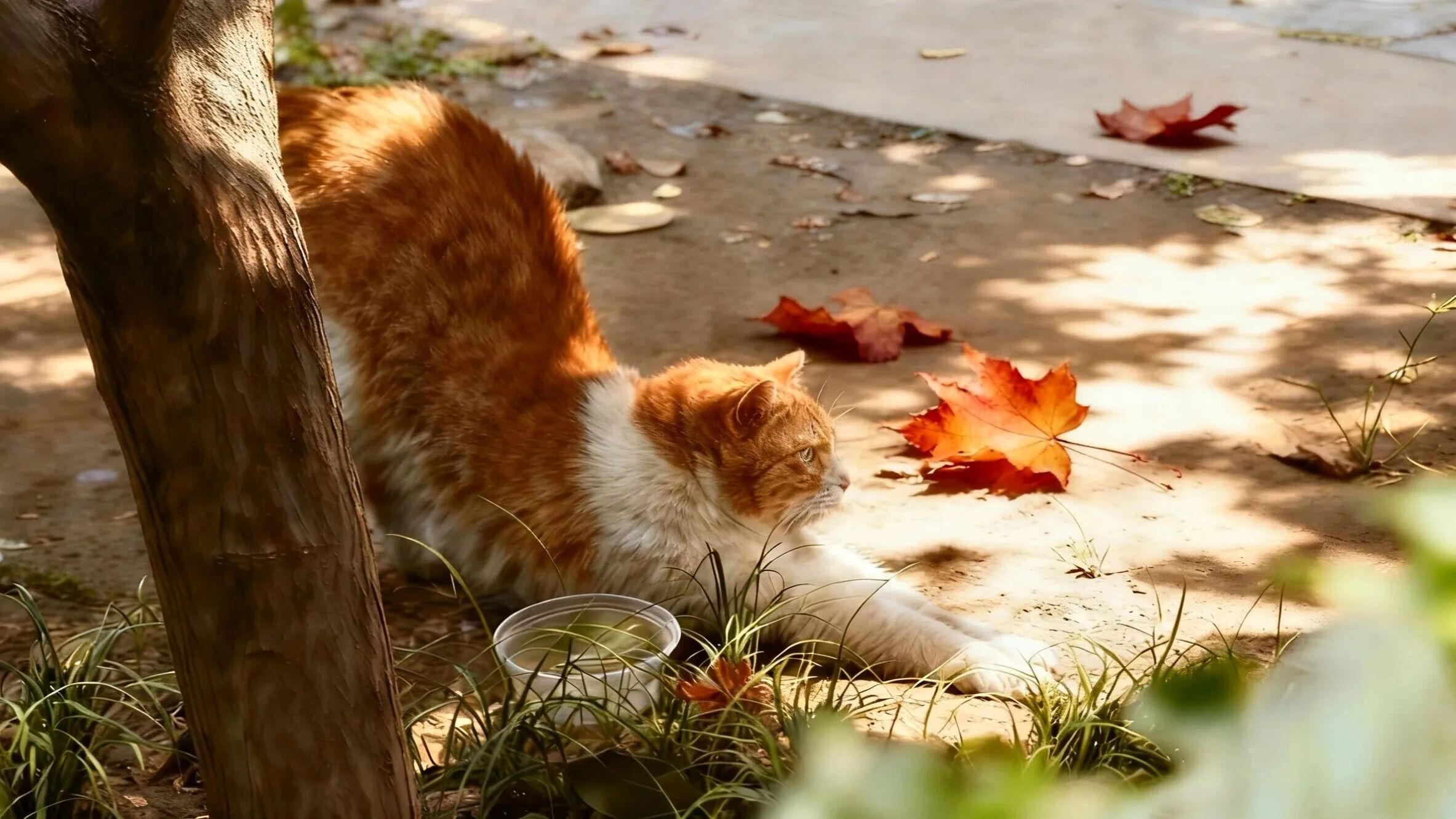 bb电子游戏官网(中国)官方网站