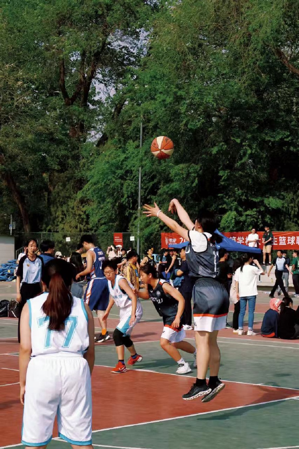 bb电子游戏官网(中国)官方网站