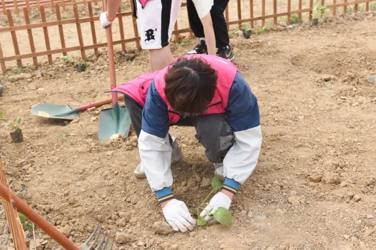 bb电子游戏官网(中国)官方网站