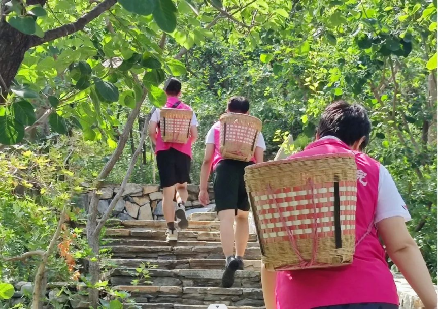 bb电子游戏官网(中国)官方网站