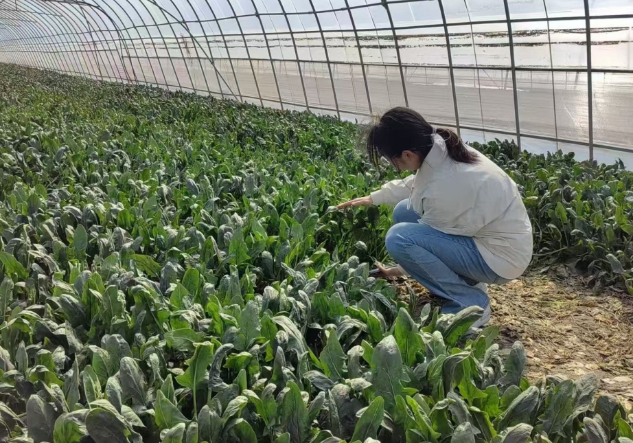 bb电子游戏官网(中国)官方网站