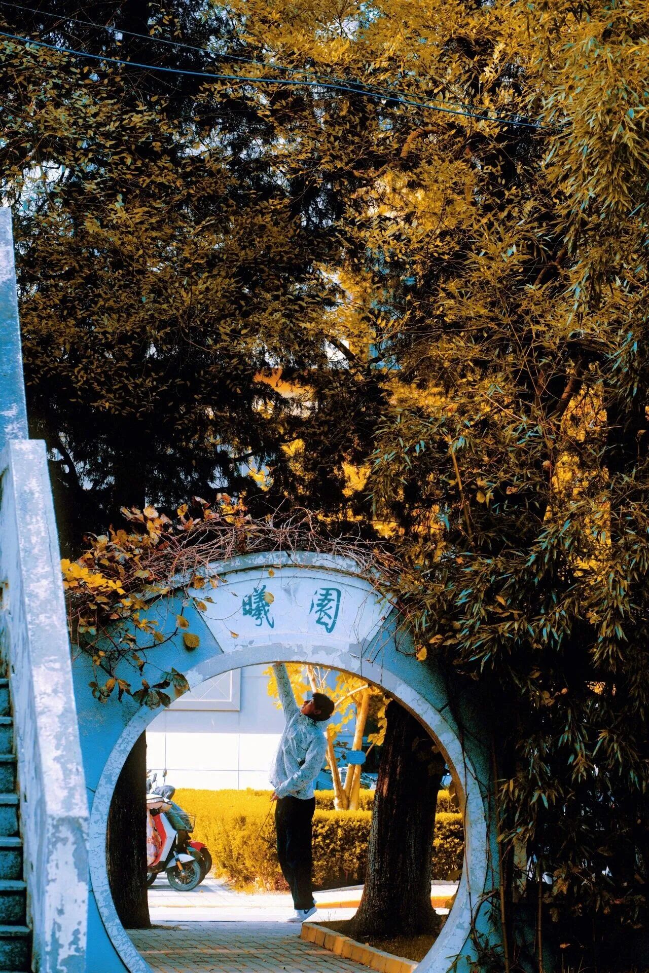 bb电子游戏官网(中国)官方网站