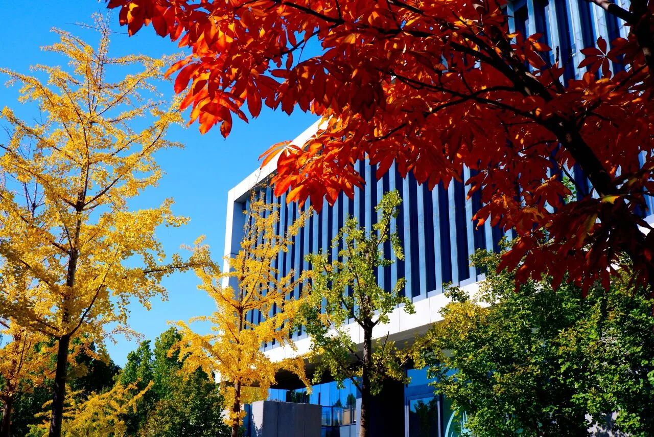 bb电子游戏官网(中国)官方网站