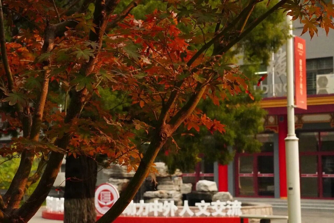 bb电子游戏官网(中国)官方网站