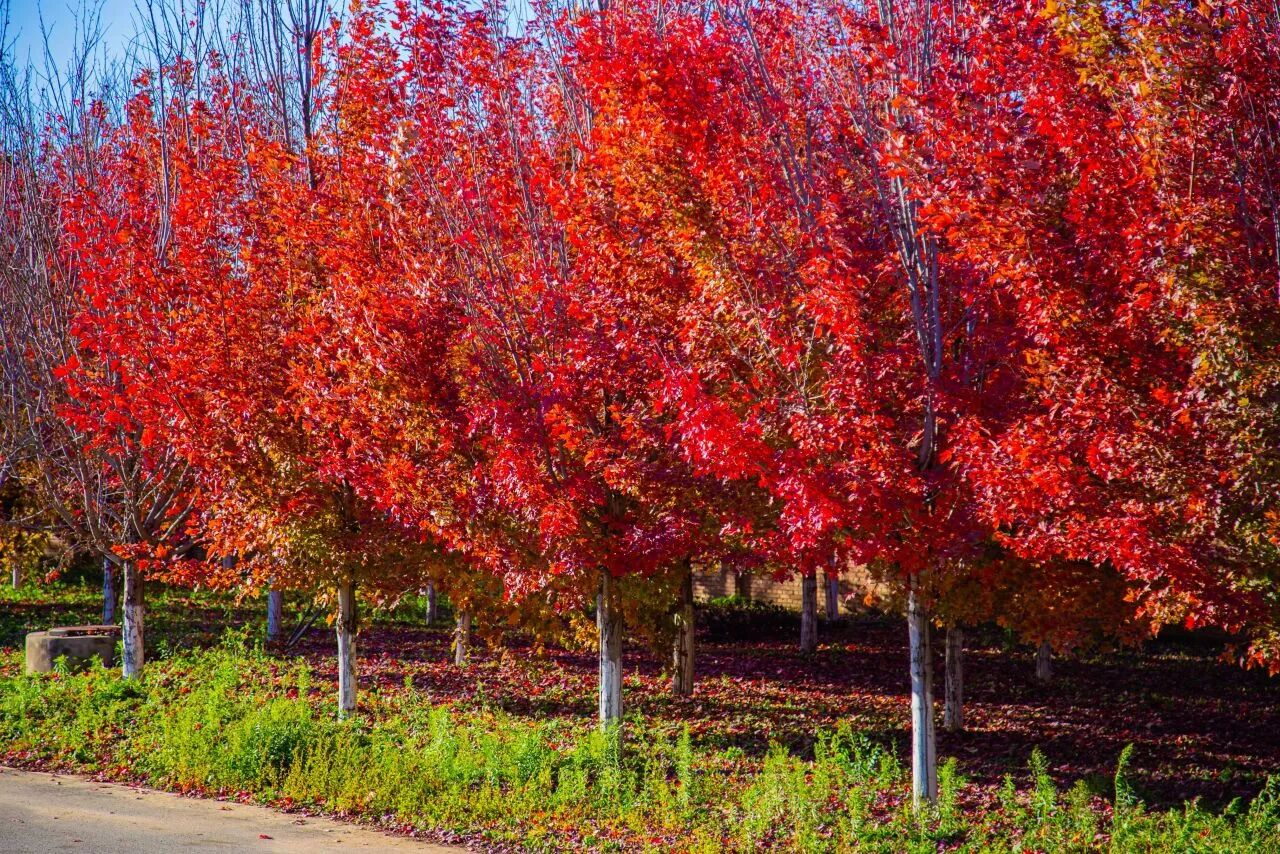 bb电子游戏官网(中国)官方网站