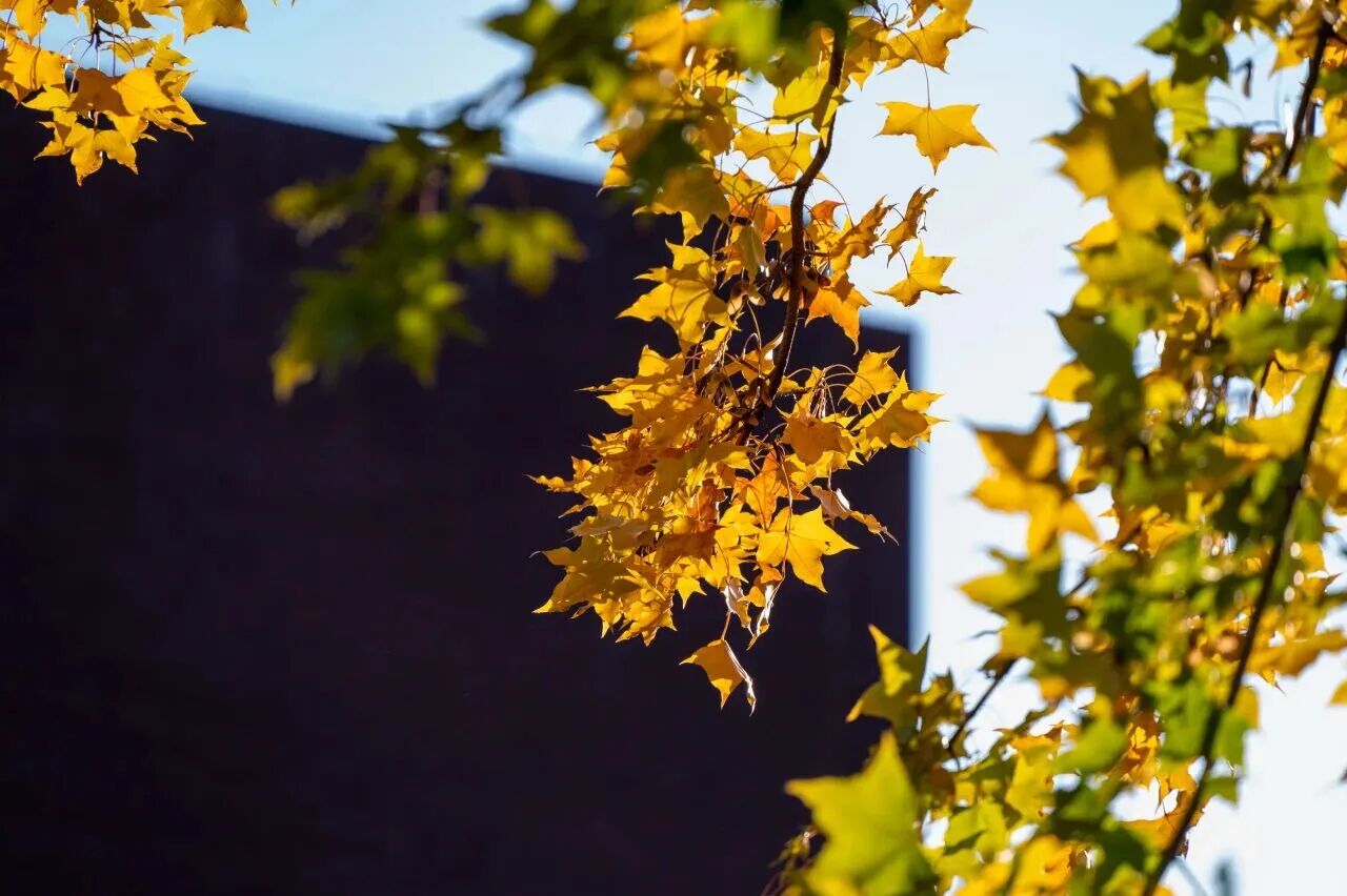 bb电子游戏官网(中国)官方网站