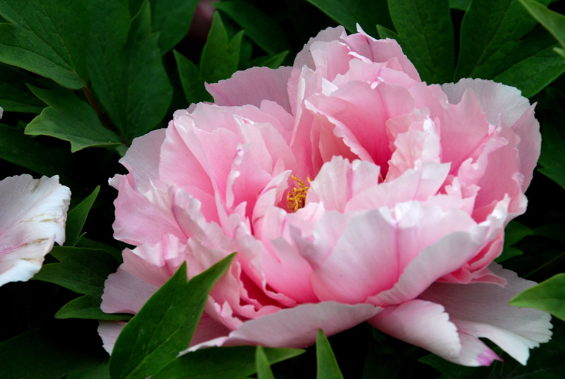 bb电子游戏官网(中国)官方网站