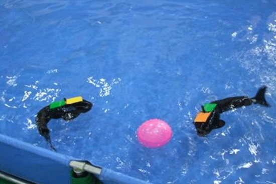 bb电子游戏官网(中国)官方网站