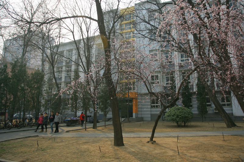 bb电子游戏官网(中国)官方网站