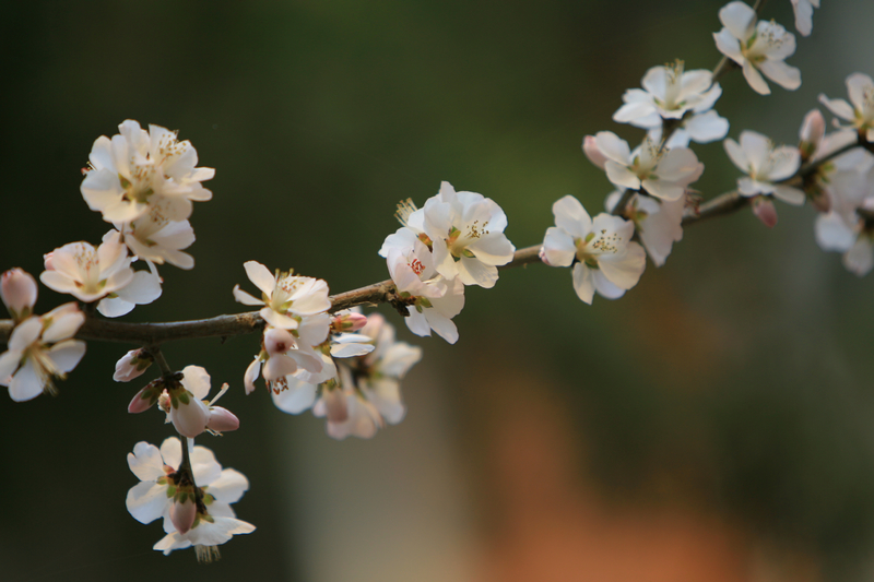 bb电子游戏官网(中国)官方网站