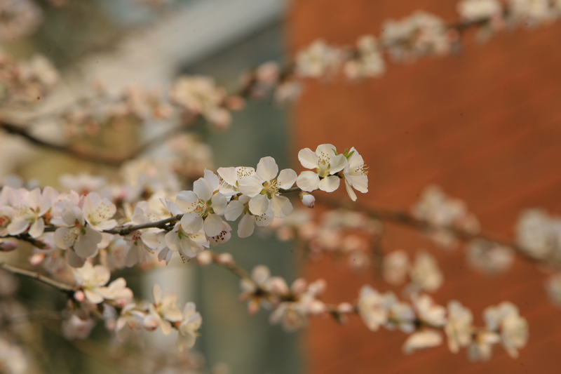 bb电子游戏官网(中国)官方网站