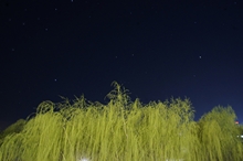 bb电子游戏官网(中国)官方网站