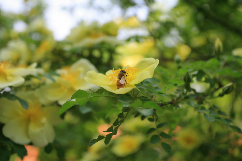 bb电子游戏官网(中国)官方网站