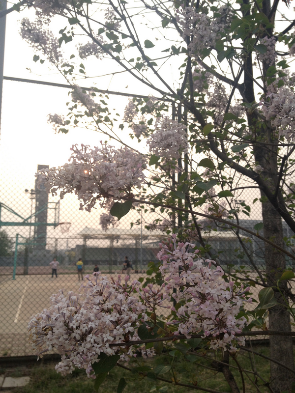 bb电子游戏官网(中国)官方网站