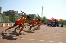 bb电子游戏官网(中国)官方网站