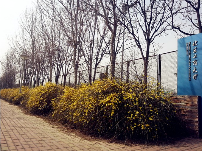 bb电子游戏官网(中国)官方网站