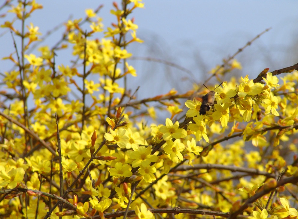 bb电子游戏官网(中国)官方网站