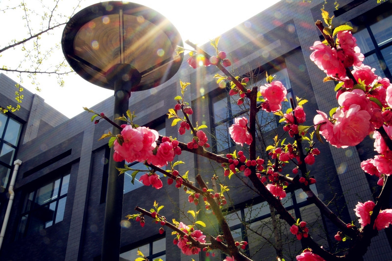 bb电子游戏官网(中国)官方网站