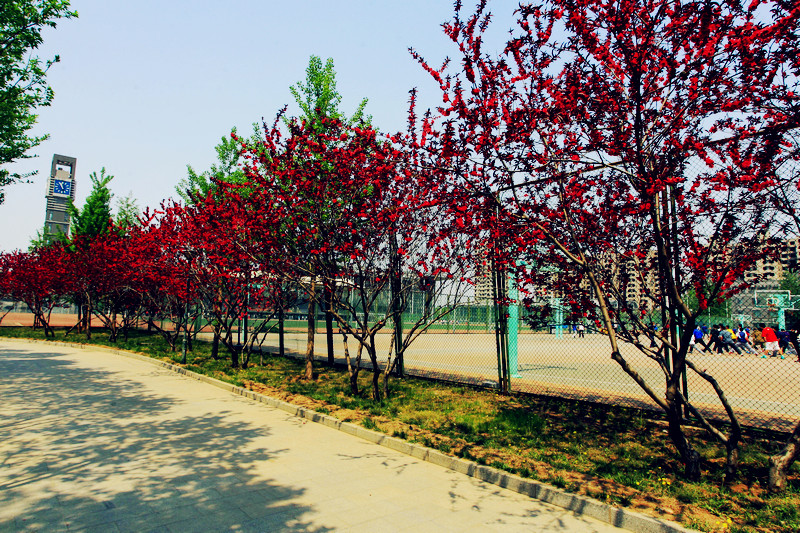 bb电子游戏官网(中国)官方网站