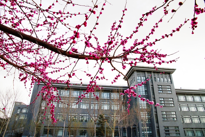 bb电子游戏官网(中国)官方网站