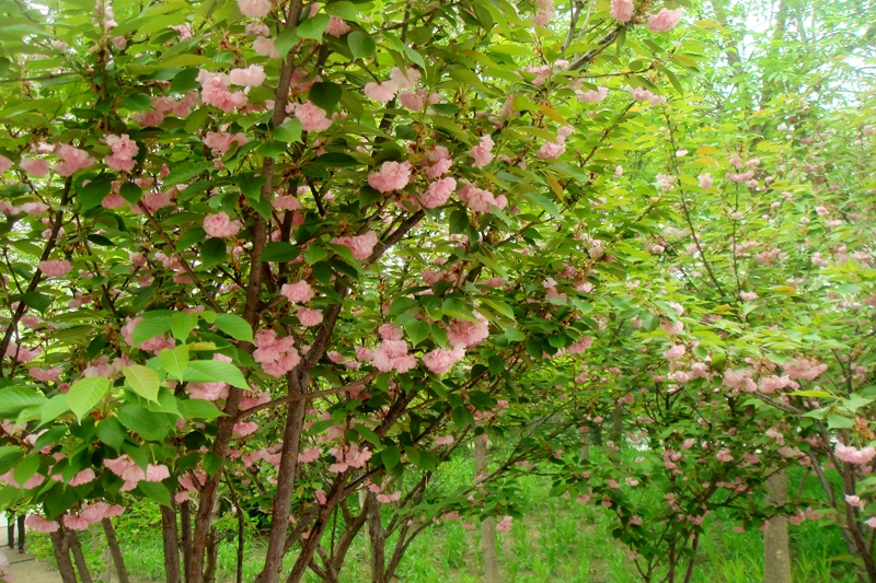 bb电子游戏官网(中国)官方网站