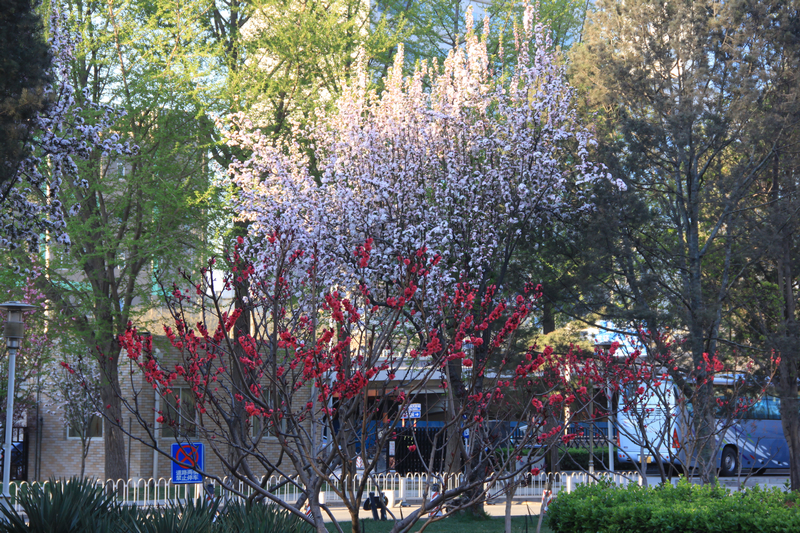 bb电子游戏官网(中国)官方网站