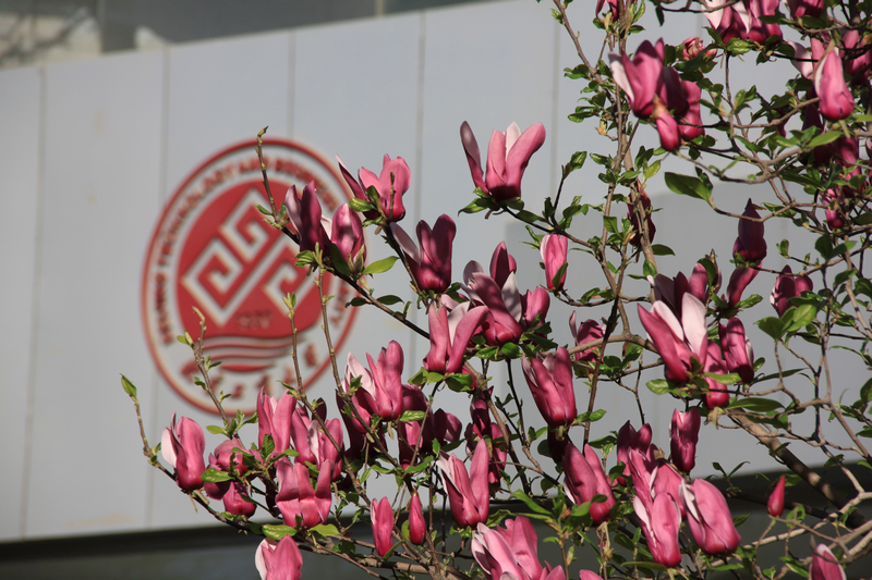 bb电子游戏官网(中国)官方网站