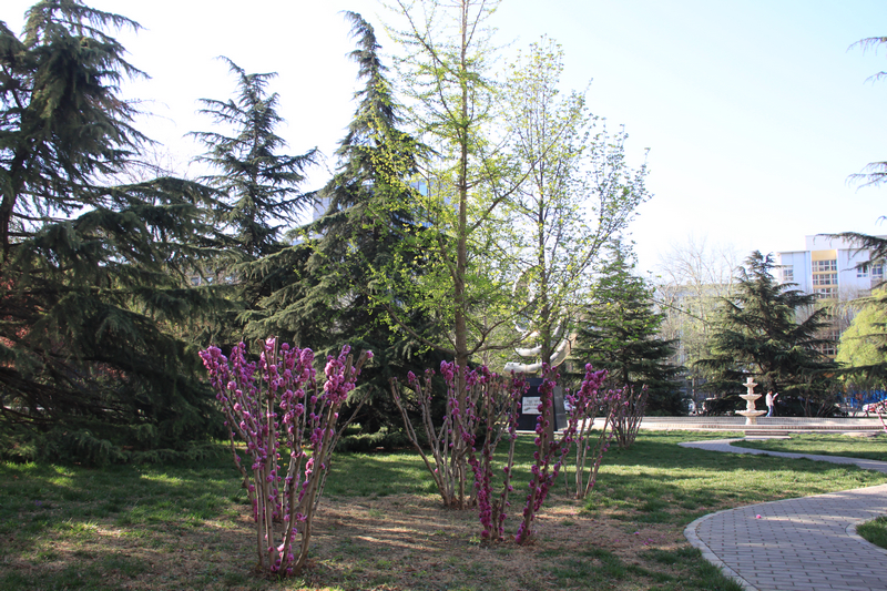 bb电子游戏官网(中国)官方网站