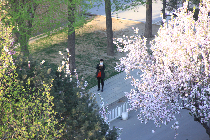 bb电子游戏官网(中国)官方网站