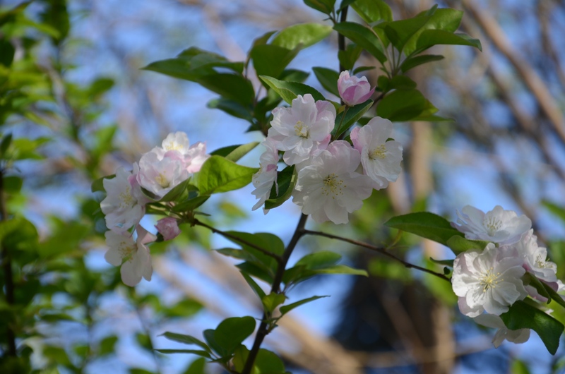 bb电子游戏官网(中国)官方网站