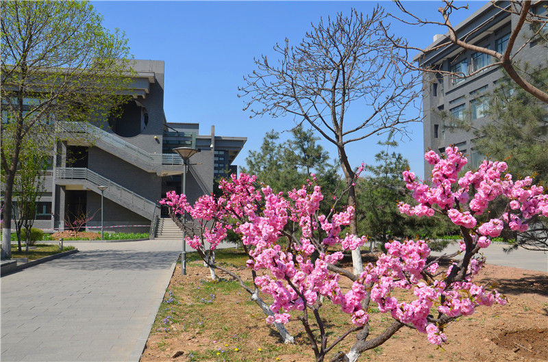 bb电子游戏官网(中国)官方网站