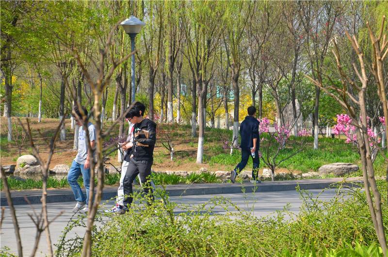 bb电子游戏官网(中国)官方网站