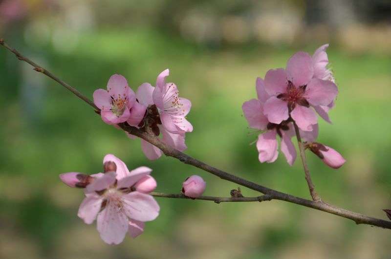 bb电子游戏官网(中国)官方网站