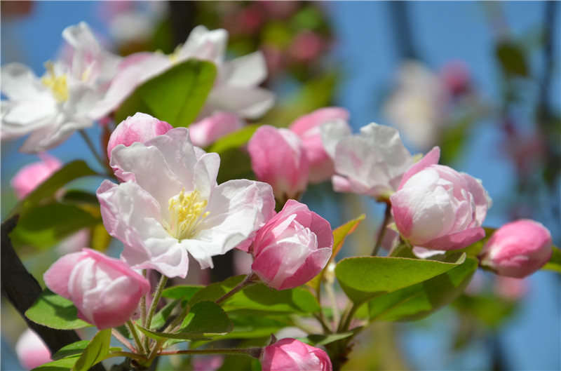 bb电子游戏官网(中国)官方网站