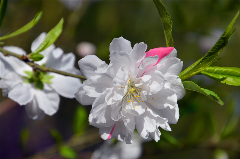 bb电子游戏官网(中国)官方网站
